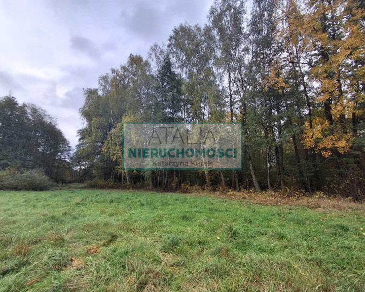 Działka Sprzedaż Radonie
