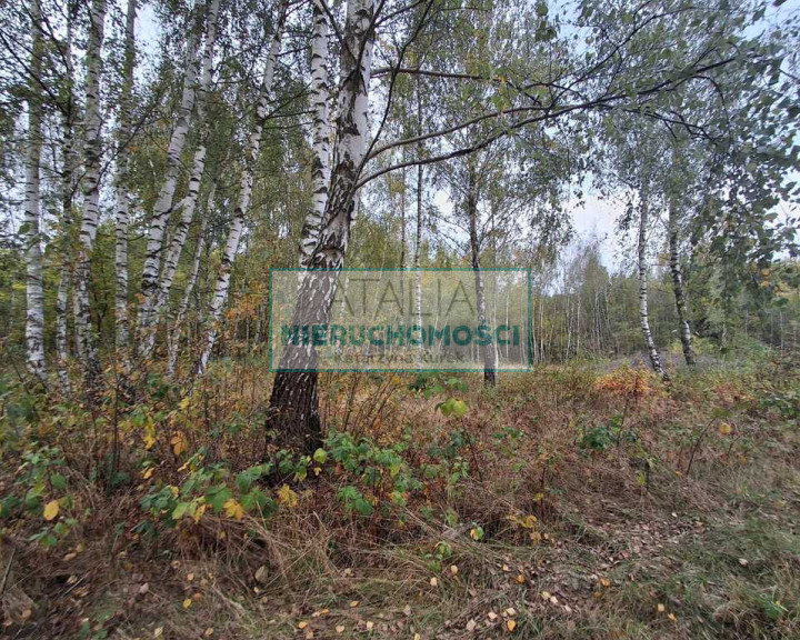 Działka Sprzedaż Radonie