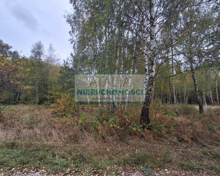 Działka Sprzedaż Radonie