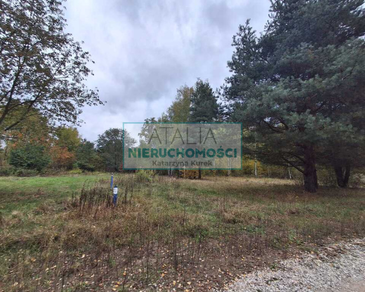 Działka Sprzedaż Radonie