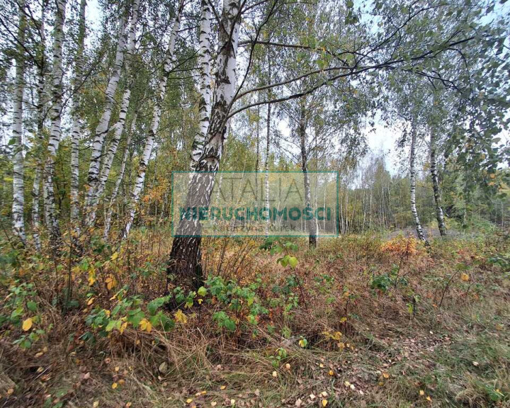 Działka Sprzedaż Radonie