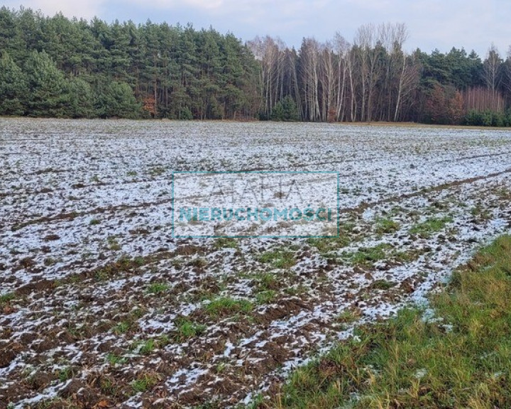 Działka Sprzedaż Wygoda