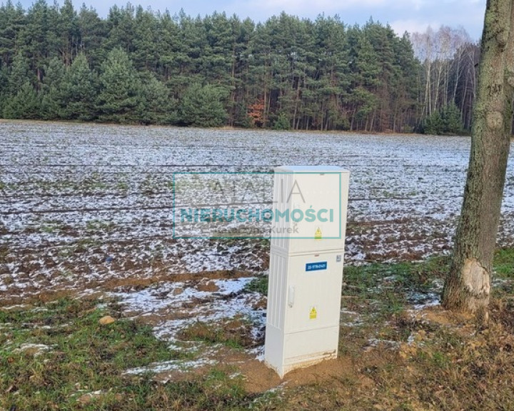 Działka Sprzedaż Wygoda