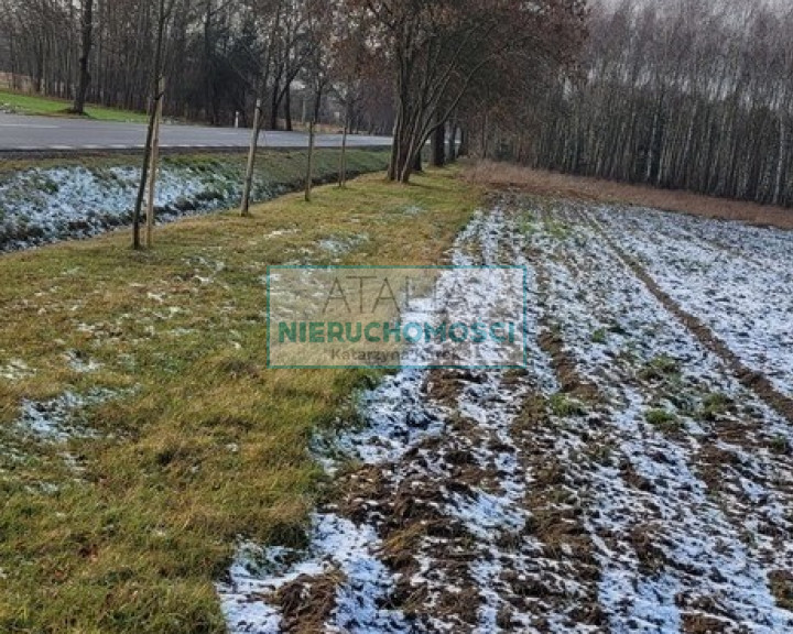Działka Sprzedaż Wygoda