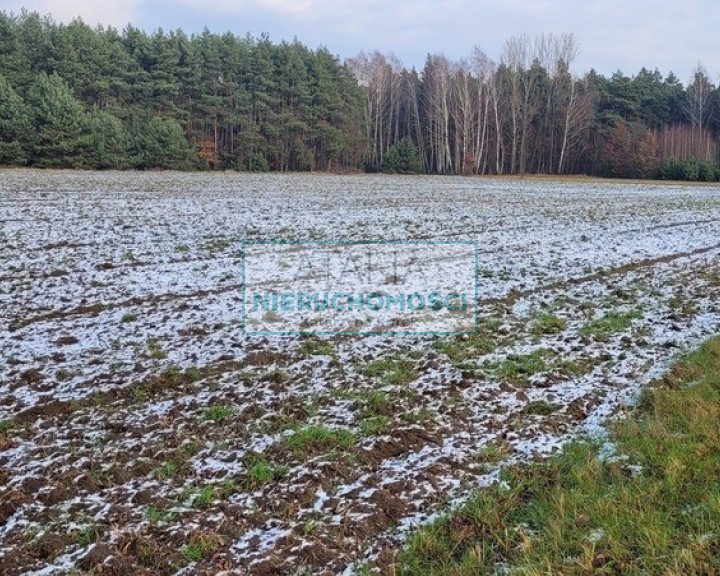 Działka Sprzedaż Wygoda