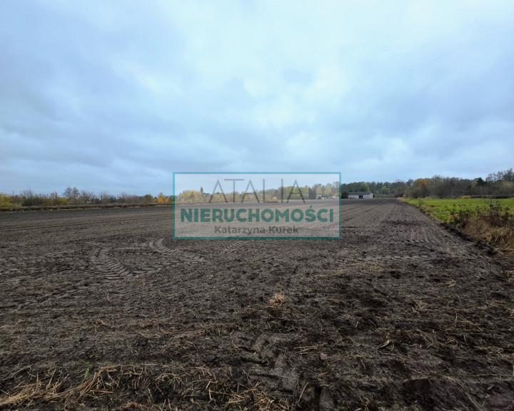 Działka Sprzedaż Grodzisk Mazowiecki