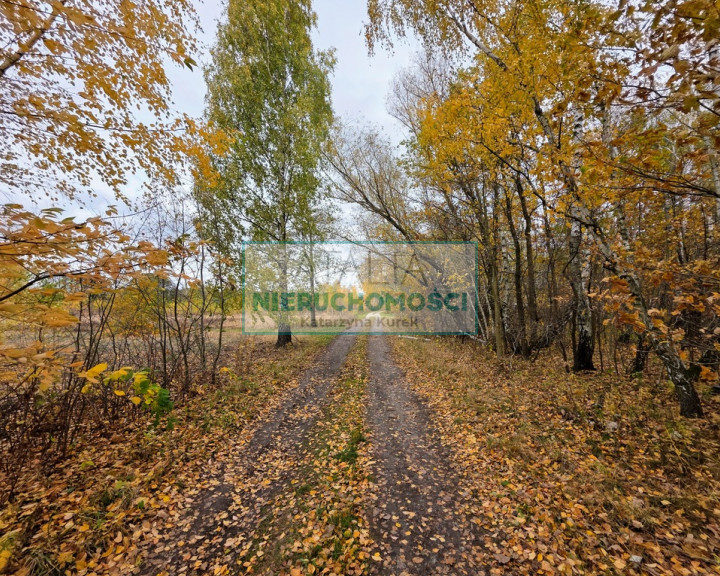 Działka Sprzedaż Władków