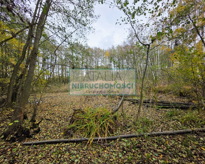 Działka Sprzedaż Władków