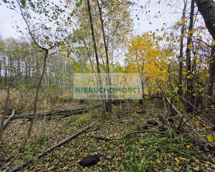 Działka Sprzedaż Władków
