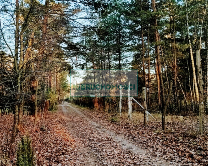 Działka Sprzedaż Wolica