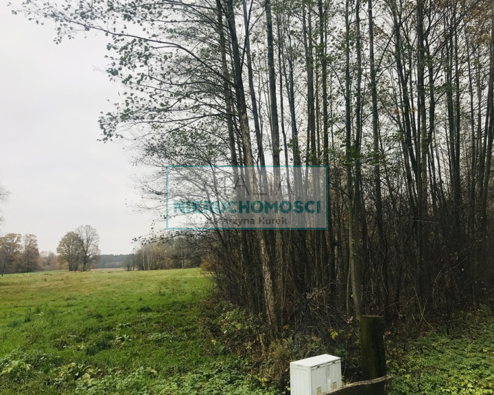 Działka Sprzedaż Budy Michałowskie