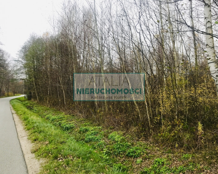Działka Sprzedaż Budy Michałowskie