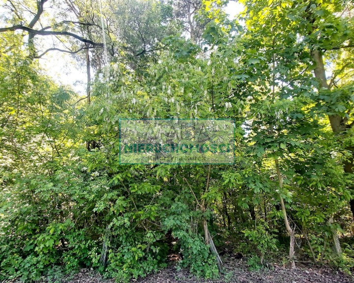 Działka Sprzedaż Książenice