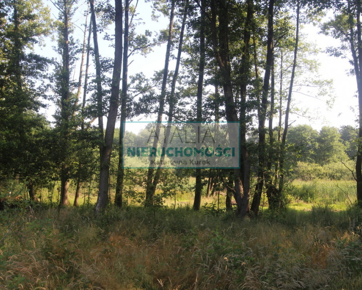Działka Sprzedaż Bystrzanów