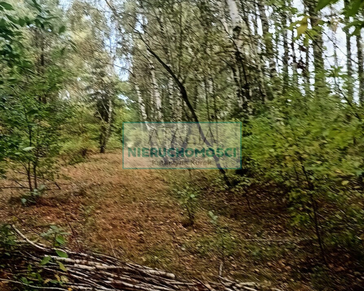 Działka Sprzedaż Grójec