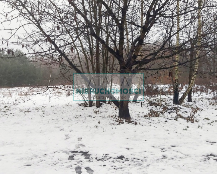 Działka Sprzedaż Żelechów