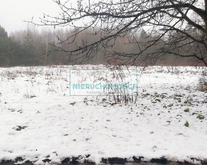 Działka Sprzedaż Żelechów