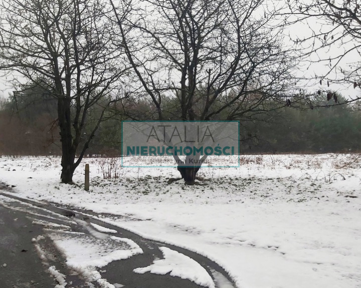 Działka Sprzedaż Żelechów