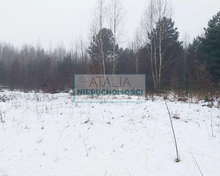 Działka Sprzedaż Żelechów