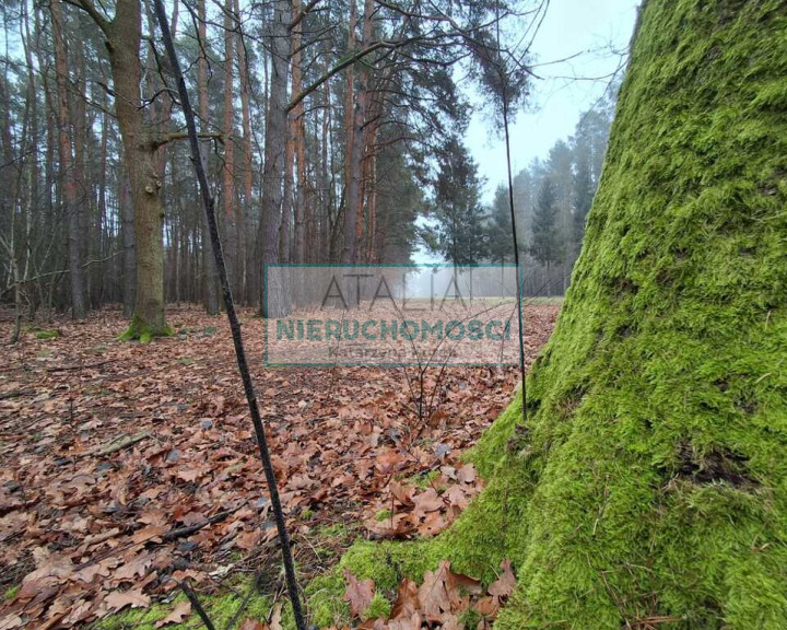 Działka Sprzedaż Nadarzyn