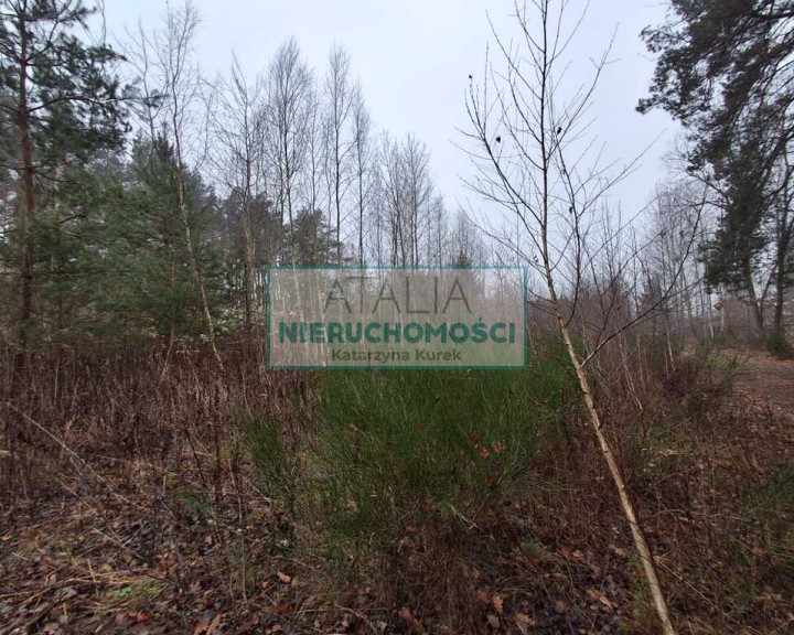 Działka Sprzedaż Nadarzyn