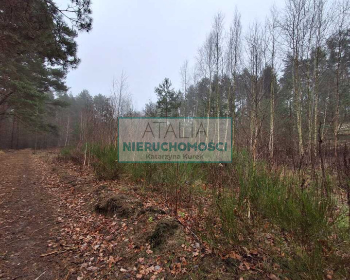 Działka Sprzedaż Nadarzyn