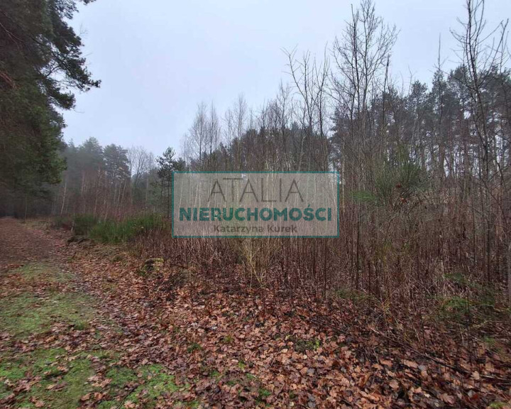 Działka Sprzedaż Nadarzyn