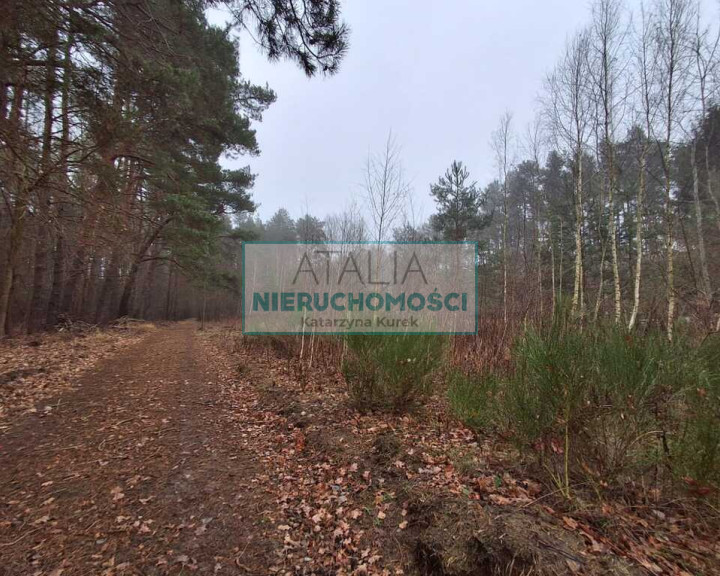 Działka Sprzedaż Nadarzyn