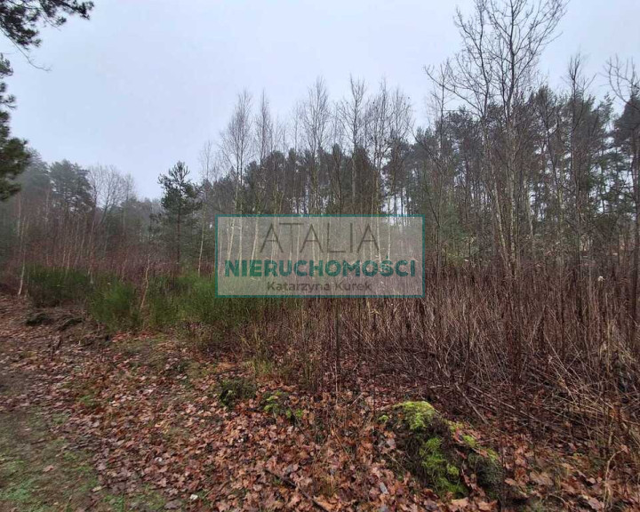 Działka Sprzedaż Nadarzyn