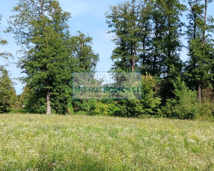 Działka Sprzedaż Grodzisk Mazowiecki