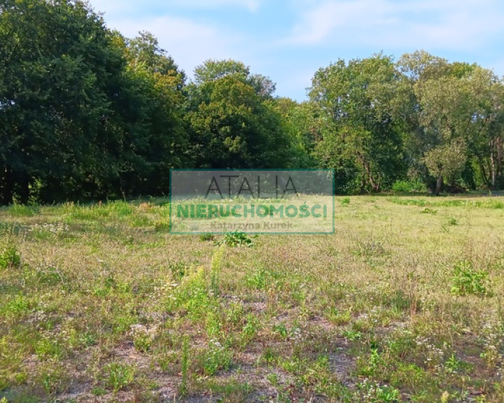 Działka Sprzedaż Grodzisk Mazowiecki