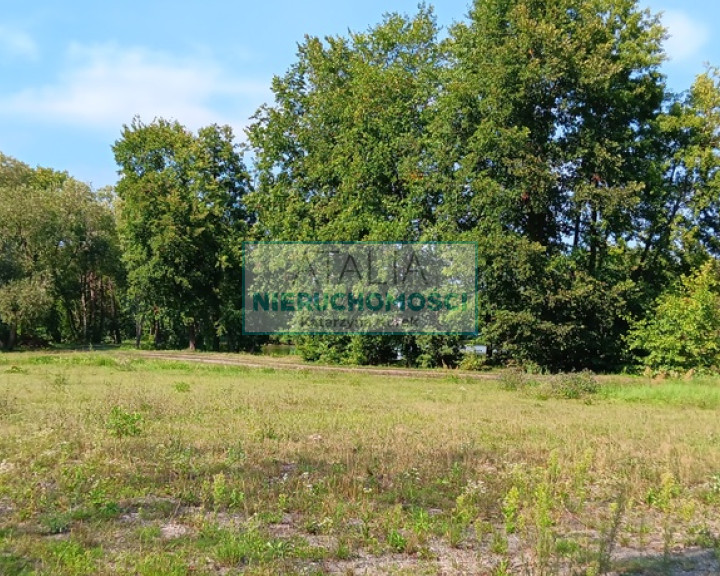 Działka Sprzedaż Grodzisk Mazowiecki