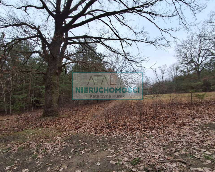 Działka Sprzedaż Milanówek