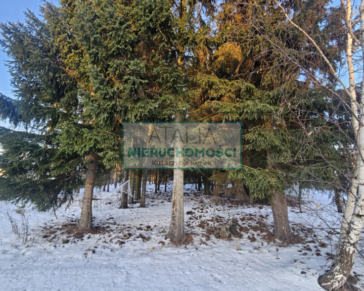 Działka Sprzedaż Radonie