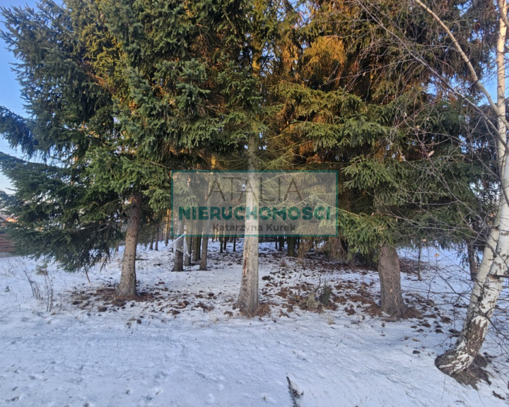Działka Sprzedaż Radonie