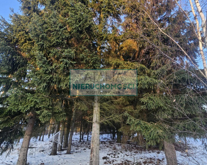 Działka Sprzedaż Radonie
