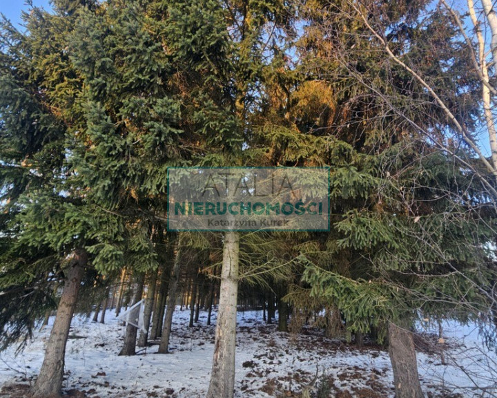 Działka Sprzedaż Radonie