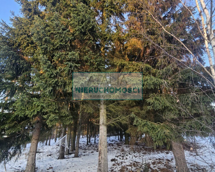 Działka Sprzedaż Radonie