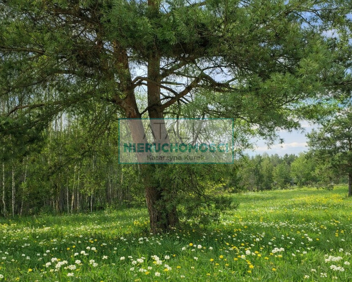 Działka Sprzedaż Zalesie