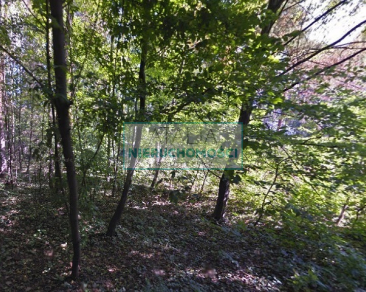 Działka Sprzedaż Brwinów