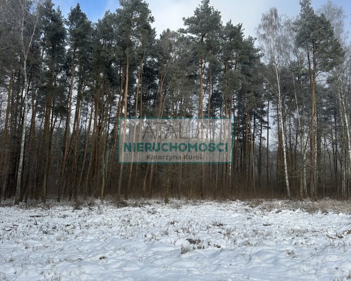 Działka Sprzedaż Grzegorzewice