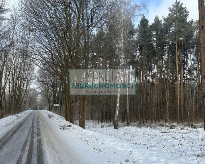 Działka Sprzedaż Grzegorzewice