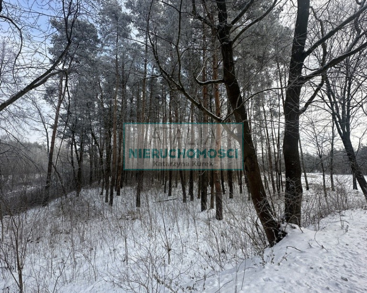 Działka Sprzedaż Grzegorzewice