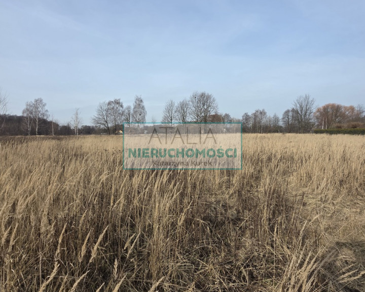 Działka Sprzedaż Milanówek