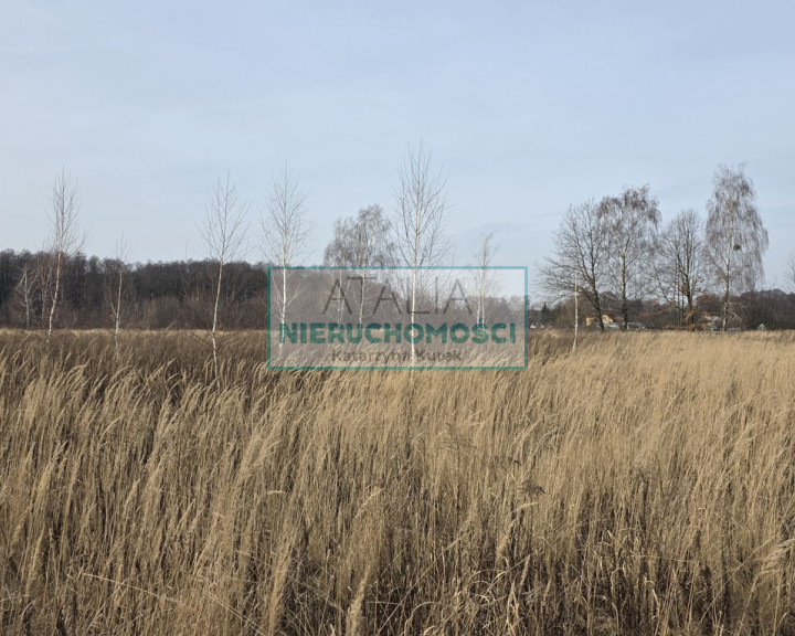 Działka Sprzedaż Milanówek