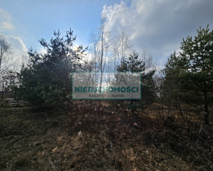 Działka Sprzedaż Żelechów