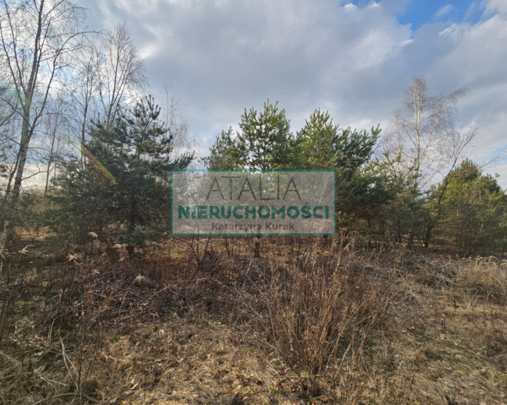 Działka Sprzedaż Żelechów
