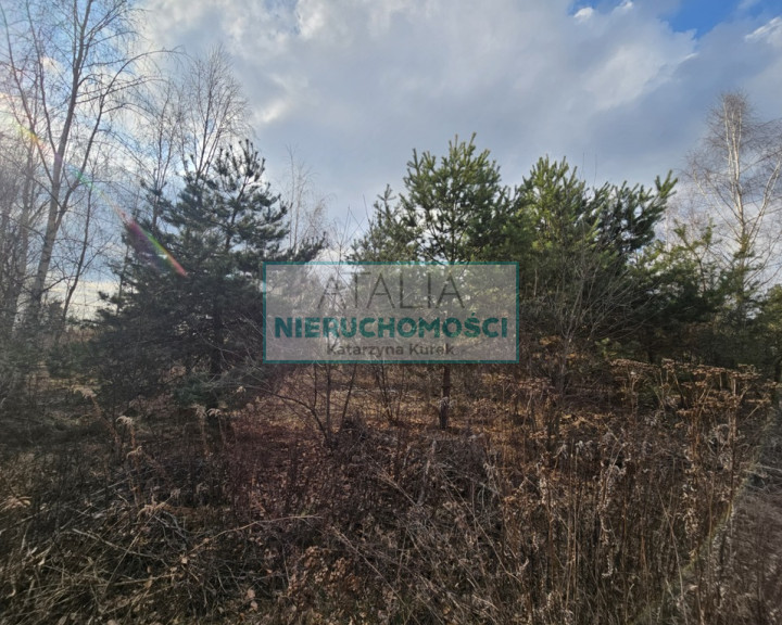 Działka Sprzedaż Żelechów