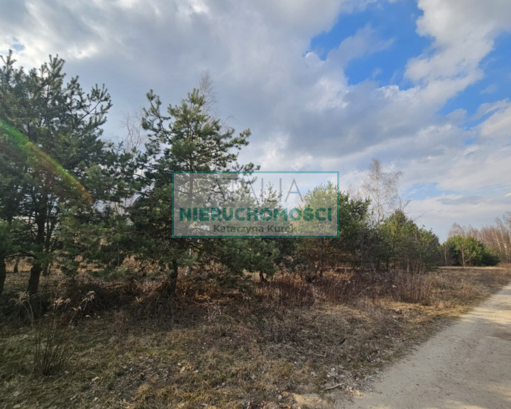 Działka Sprzedaż Żelechów