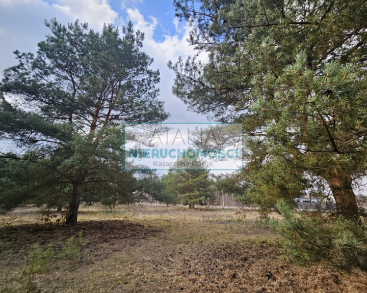 Działka Sprzedaż Ojrzanów